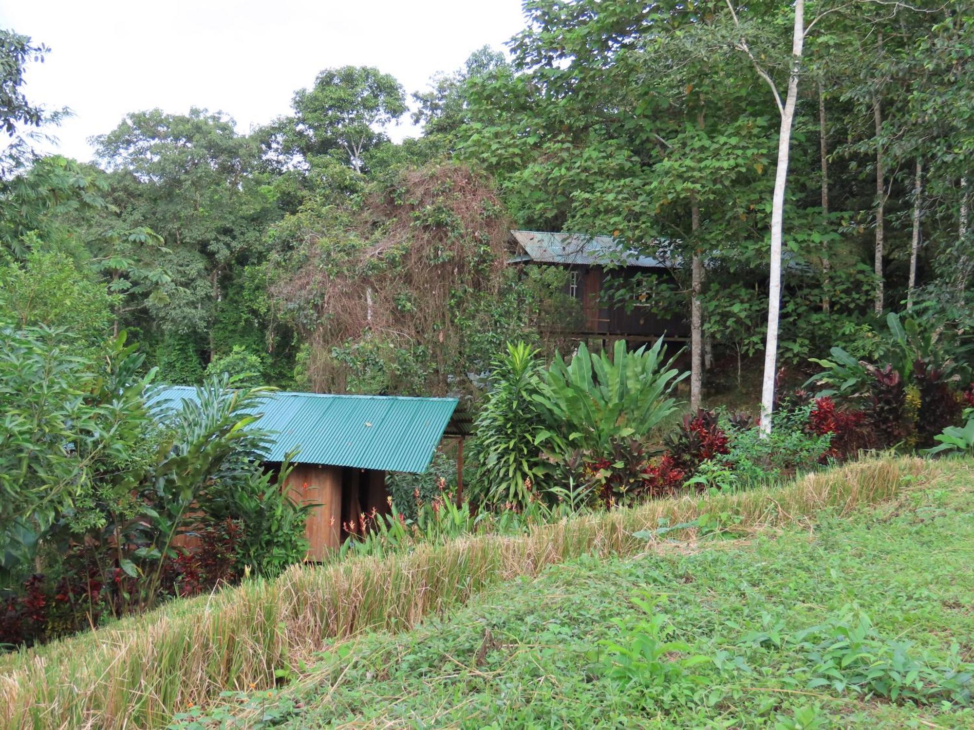 La Mariola - Finca Agroecologica El Castillo de La Concepción Exterior photo
